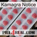 Kamagra Notice 19